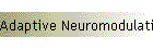 Adaptive Neuromodulation